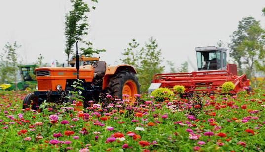 “十三五”大思路規(guī)劃， 哪些決定將影響農業(yè)行業(yè)