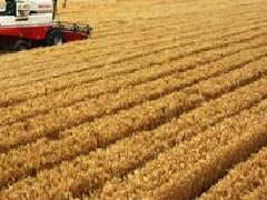 湖北提出“一芯驅(qū)動、兩帶支撐、三區(qū)協(xié)同”的區(qū)域和產(chǎn)業(yè)規(guī)劃布局