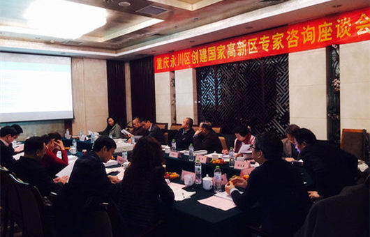 科技部高端智庫專家會(huì)診重慶永川創(chuàng)建國(guó)家高新區(qū)