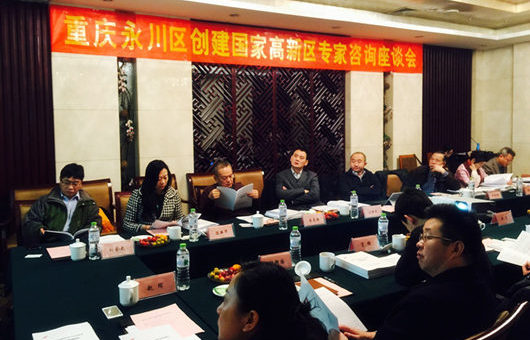 科技部高端智庫專家會(huì)診重慶永川創(chuàng)建國(guó)家高新區(qū)