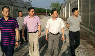 院長李文輝在湖南宜章經(jīng)開區(qū)及農(nóng)業(yè)科技園進(jìn)行調(diào)研