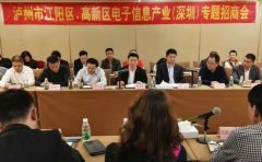 江陽區(qū)、瀘州國家高新區(qū)在深圳開展專題招商
