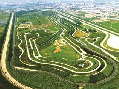 中國小龍蝦產(chǎn)業(yè)發(fā)展報告（2019），全國出臺產(chǎn)業(yè)規(guī)劃等各類政策扶持性文件近