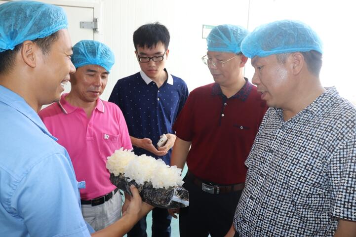 “湘軍故里，鋼鐵新城”我院助力婁底市開啟創(chuàng)新發(fā)展新篇章