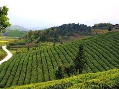 安陽召開合金新材料產(chǎn)業(yè)園規(guī)劃建設(shè)協(xié)調(diào)推進(jìn)會(huì)