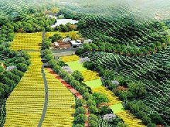 黑龍江省“十四五”規(guī)劃《綱要》出爐 聚焦“十個(gè)新突破”明確13個(gè)領(lǐng)域重點(diǎn)任