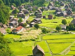 惠水縣召開(kāi)“十四五”規(guī)劃務(wù)虛會(huì)