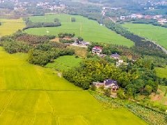 智慧園區(qū)規(guī)劃 | 產(chǎn)業(yè)園區(qū)該如何應對突發(fā)公共事件？