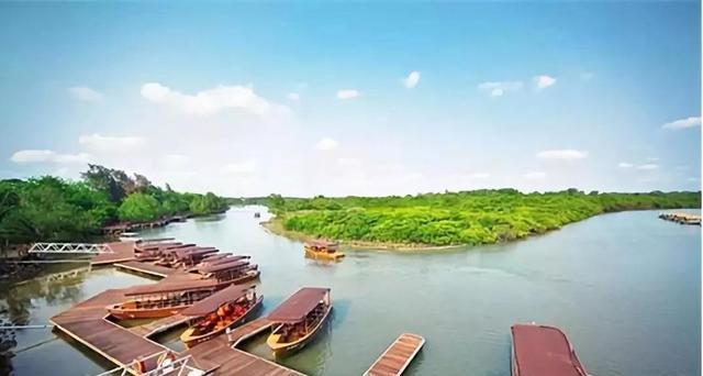 銅陵國家農業(yè)科技園區(qū)：鍛造科技引擎 推動創(chuàng)新發(fā)展