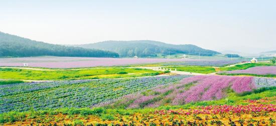 東北振興:現(xiàn)代農(nóng)業(yè)站在風口