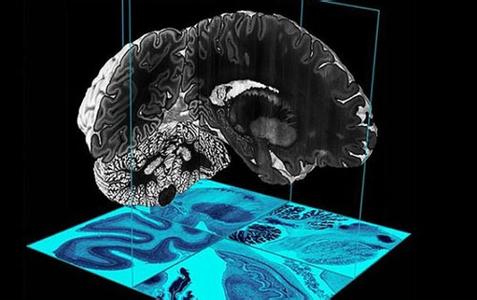 安慶高新區(qū)打造生物基合成材料上下游產業(yè)鏈