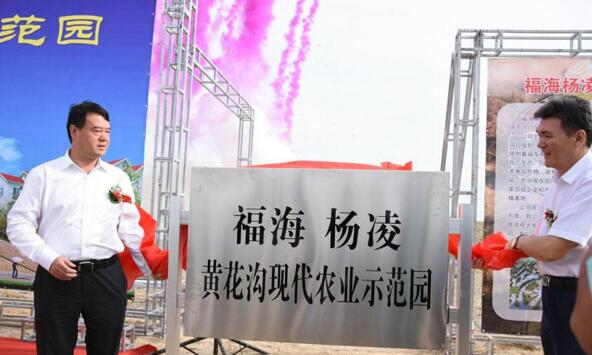 新疆福?？h攜手楊凌高新區(qū)打造中國高緯度農(nóng)業(yè)示范基地