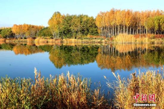 甘肅經(jīng)濟觸底求變：打好特色牌，多拿單打冠亞軍