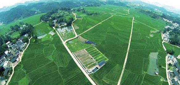 大健康事業(yè)是國(guó)家趨勢(shì)，現(xiàn)今走在前面的人，將是未來(lái)的主角！