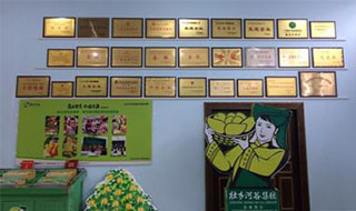 “芒果百色，香飄百地” 國(guó)內(nèi)首家芒果精深加工特色產(chǎn)業(yè)基地申報(bào)進(jìn)行時(shí)