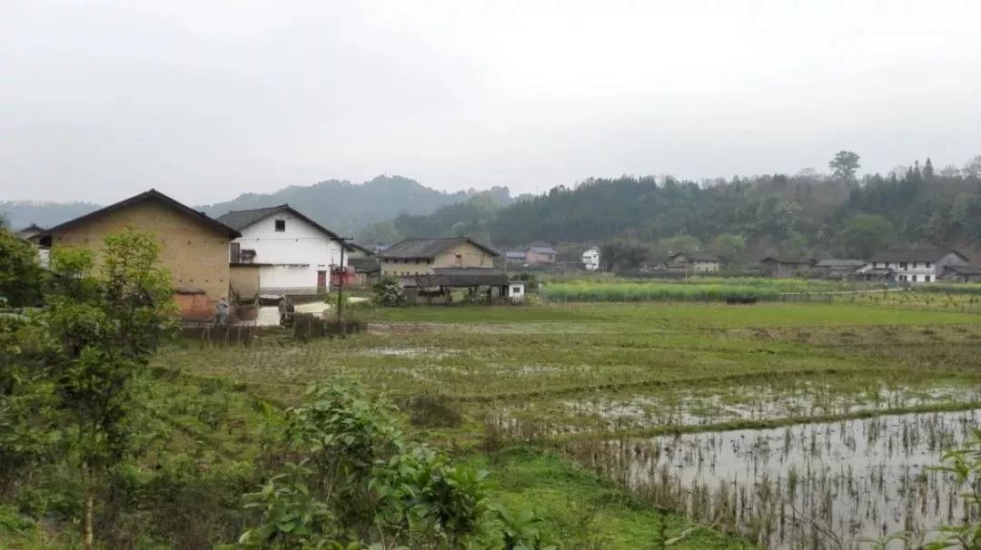 農(nóng)村土地確權(quán)結(jié)束，沒登記的四荒地如何處理？