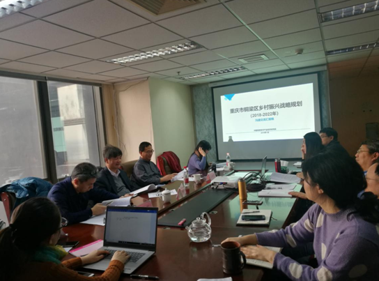 問診專家，繪制龍鄉(xiāng)銅梁鄉(xiāng)村振興新藍圖