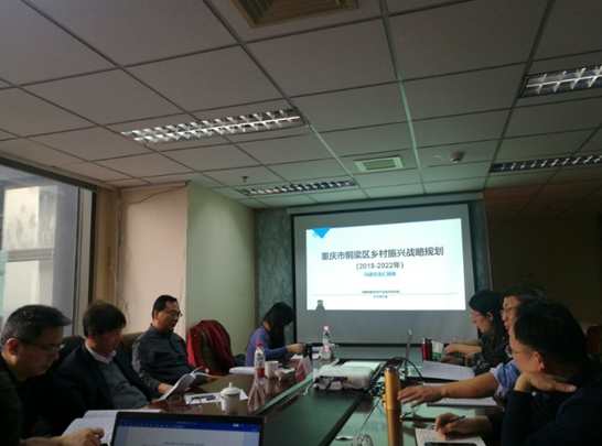 問診專家，繪制龍鄉(xiāng)銅梁鄉(xiāng)村振興新藍圖