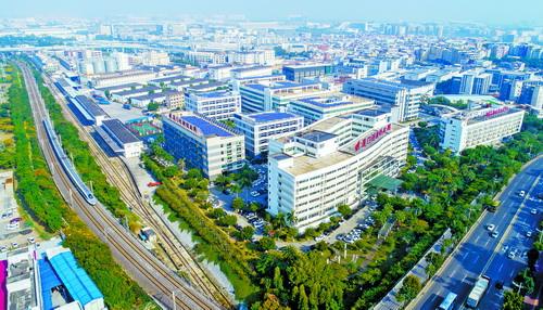 廈門火炬高新區：人工智能從“多枝繁茂”到“規?；R放”