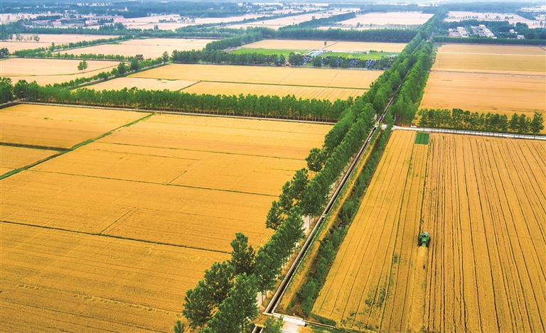 江蘇：魚米之鄉(xiāng)，鄉(xiāng)村產(chǎn)業(yè)動能澎湃