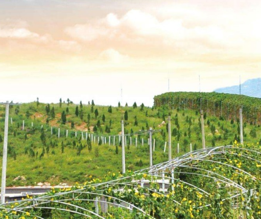 農(nóng)業(yè)農(nóng)村部辦公廳 財(cái)政部辦公廳關(guān)于開(kāi)展國(guó)家現(xiàn)代農(nóng)業(yè)產(chǎn)業(yè)園創(chuàng)建績(jī)效評(píng)價(jià)和