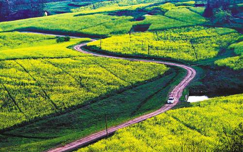 關(guān)于開(kāi)展2019年國(guó)家現(xiàn)代農(nóng)業(yè)產(chǎn)業(yè)園創(chuàng)建工作的通知