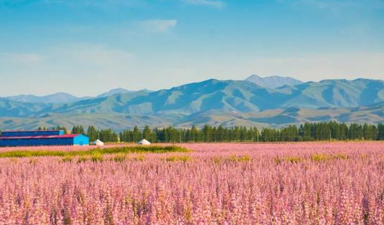 國家現(xiàn)代農(nóng)業(yè)產(chǎn)業(yè)園的申報(bào)流程