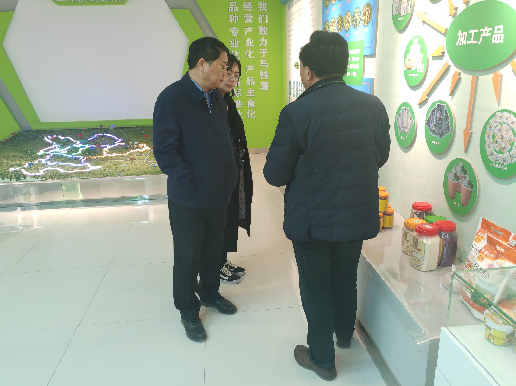 “中國薯都”再奏新旋律，定西市安定區(qū)開啟馬鈴薯產(chǎn)業(yè)發(fā)展新篇章