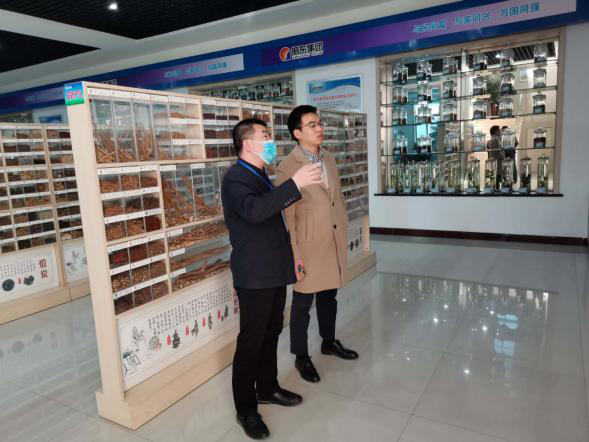 依托潞黨參和連翹兩大優(yōu)質(zhì)特色中藥材，平順縣向國(guó)家現(xiàn)代農(nóng)業(yè)產(chǎn)業(yè)園邁進(jìn)