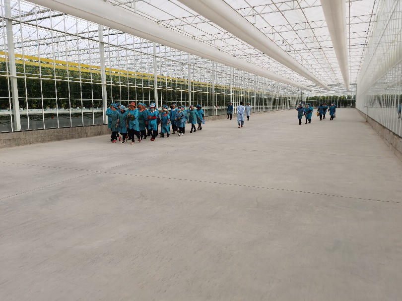 依托非耕地高效設(shè)施農(nóng)業(yè)，民樂縣著力打造特色戈壁農(nóng)業(yè)國家現(xiàn)代農(nóng)業(yè)產(chǎn)業(yè)園