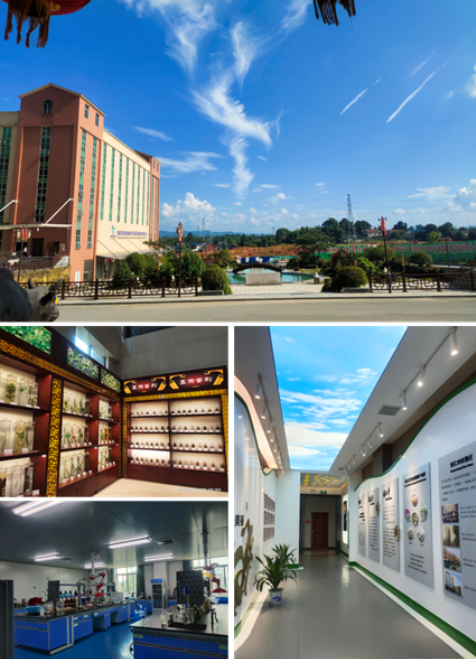 創(chuàng)建省級(jí)高新區(qū)，鶴城工業(yè)集中區(qū)邁入高質(zhì)量發(fā)展快車道