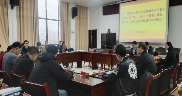 集聚頭腦風(fēng)暴，為高質(zhì)量編制桃江“十四五”規(guī)劃建言獻策