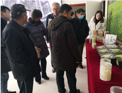 借力專家智慧，云州區(qū)蹄疾步穩(wěn)邁向國家現代農業(yè)產業(yè)園