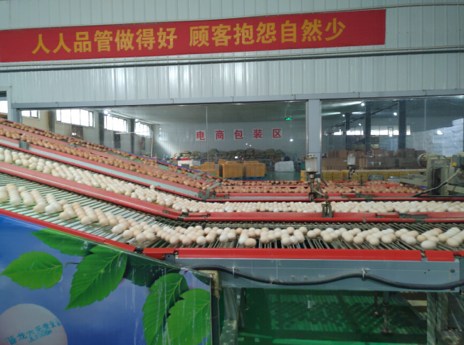 后稷故里，板棗之鄉(xiāng)——山西省稷山縣大力爭(zhēng)創(chuàng)國(guó)家現(xiàn)代農(nóng)業(yè)產(chǎn)業(yè)園