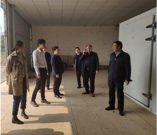 黃花菜里定乾坤，祁東縣全力爭創(chuàng)國家現(xiàn)代農(nóng)業(yè)產(chǎn)業(yè)園