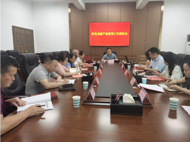 發(fā)力五型經濟，著力打造“中國龍腦之都”