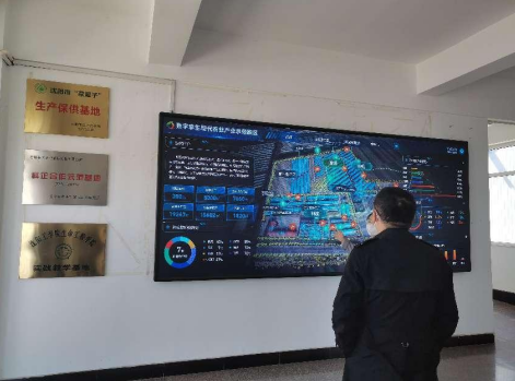 依托糧食和蔬菜兩大優(yōu)質(zhì)產(chǎn)業(yè)，新民市向國(guó)家農(nóng)業(yè)現(xiàn)代化示范區(qū)邁進(jìn)