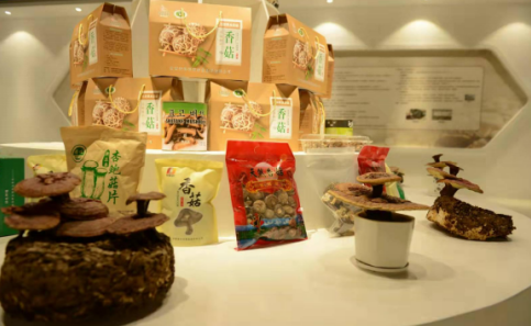 依托蘋果和香菇兩大特色優(yōu)勢(shì)產(chǎn)業(yè)，萬榮縣積極申創(chuàng)國家農(nóng)業(yè)現(xiàn)代化示范區(qū)