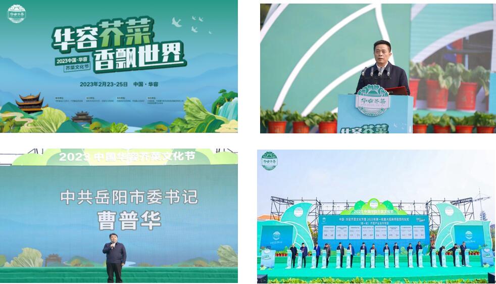 華容芥菜香飄四海，創(chuàng)建國家現(xiàn)代農(nóng)業(yè)產(chǎn)業(yè)園恰逢其時