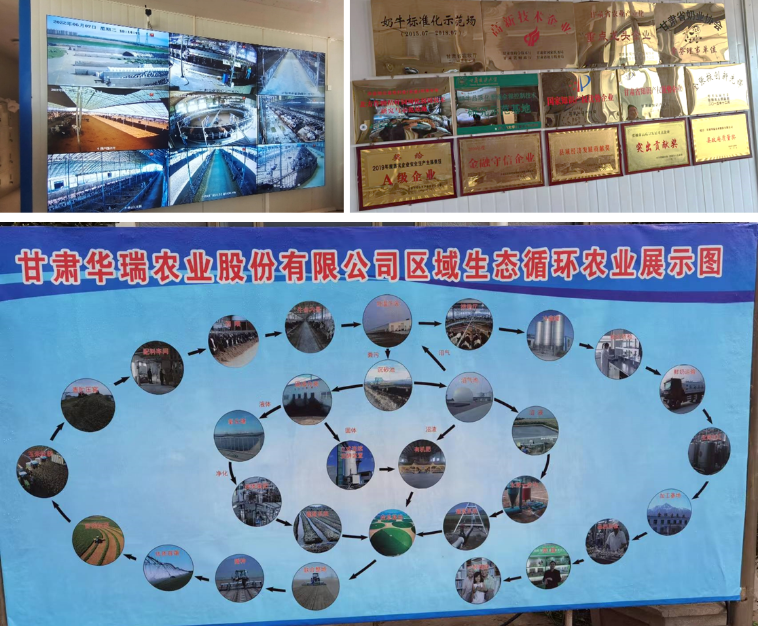 加強農(nóng)業(yè)產(chǎn)業(yè)布局規(guī)劃，民樂縣向農(nóng)業(yè)強縣進發(fā)