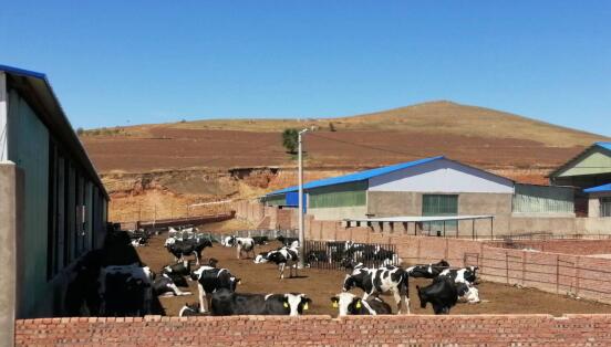 科右前旗農(nóng)業(yè)現(xiàn)代化示范區(qū)創(chuàng)建按下“加速鍵”，吹響“集結(jié)號”