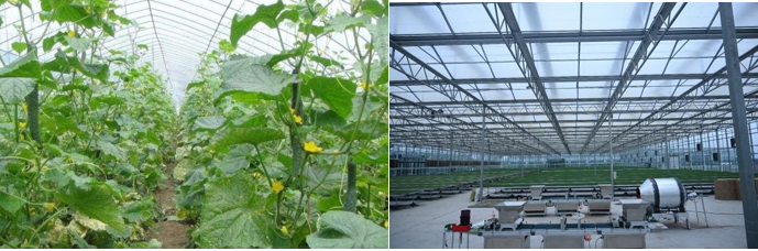 高新院再創(chuàng)佳績，又一國家現(xiàn)代農(nóng)業(yè)產(chǎn)業(yè)園誕生在三晉大地