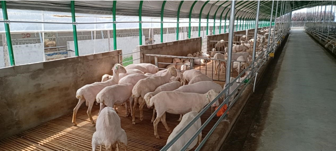 高新院再創(chuàng)佳績，又一國家現(xiàn)代農(nóng)業(yè)產(chǎn)業(yè)園誕生在三晉大地