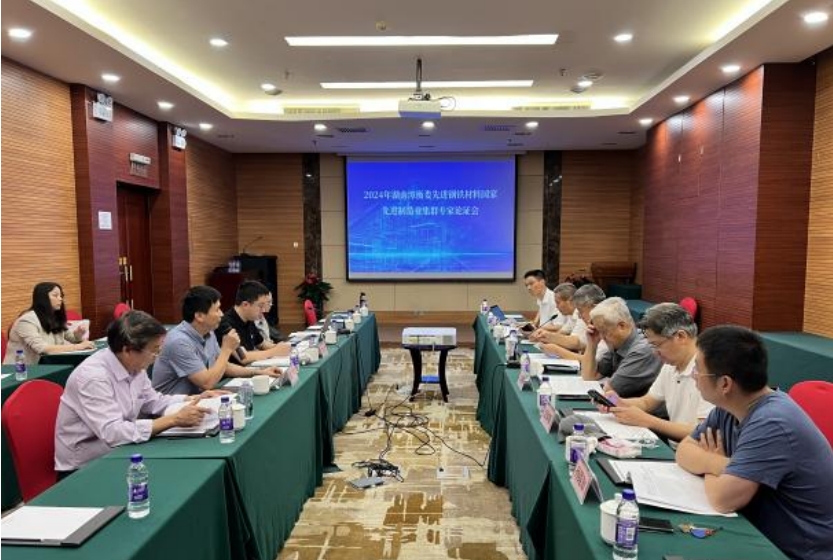 《培育發(fā)展湘潭市、婁底市、衡陽市先進(jìn)鋼鐵材料集群實(shí)施方案》獲專家高度評(píng)