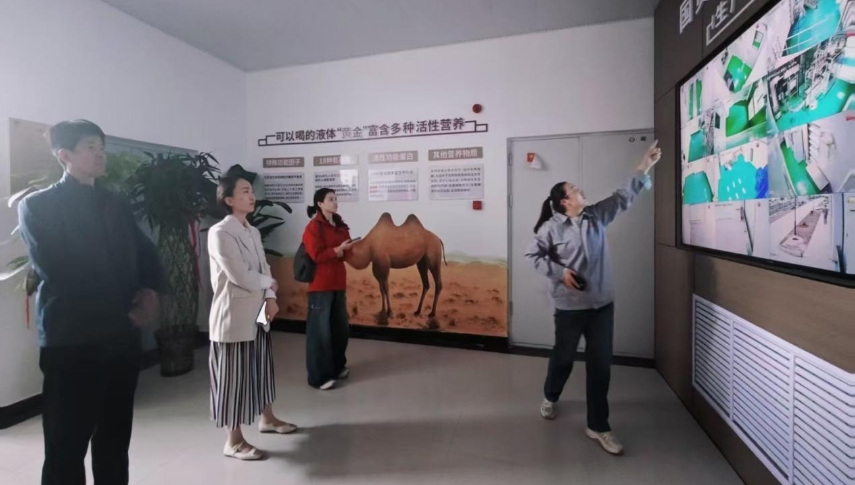 金川區(qū)“十五五”規(guī)劃調(diào)研啟動 我院走訪22個重點點位