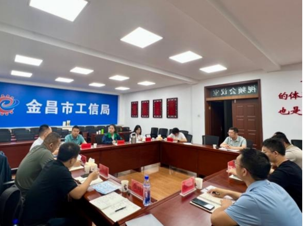 謀深謀實(shí)“十五五”規(guī)劃“三個(gè)重大”，我院邀行業(yè)專家參與座談——金昌市工